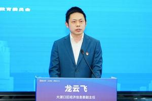 大渡口区经济信息委副主任 龙云飞.jpg