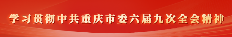 学习贯彻中共重庆市委六届九次全会精神