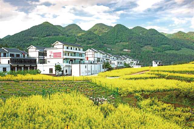 今年累计集中开工项目95个 奉节 加快培育县域经济发展新动能「相关图片」