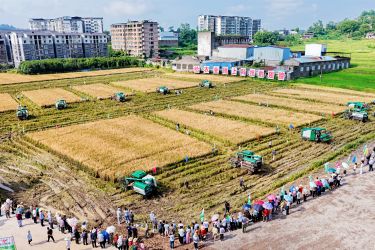 稻浪为“擂台” 毫厘见真章——2026年重庆市水稻机收减损技能大比武现场直击1.jpeg