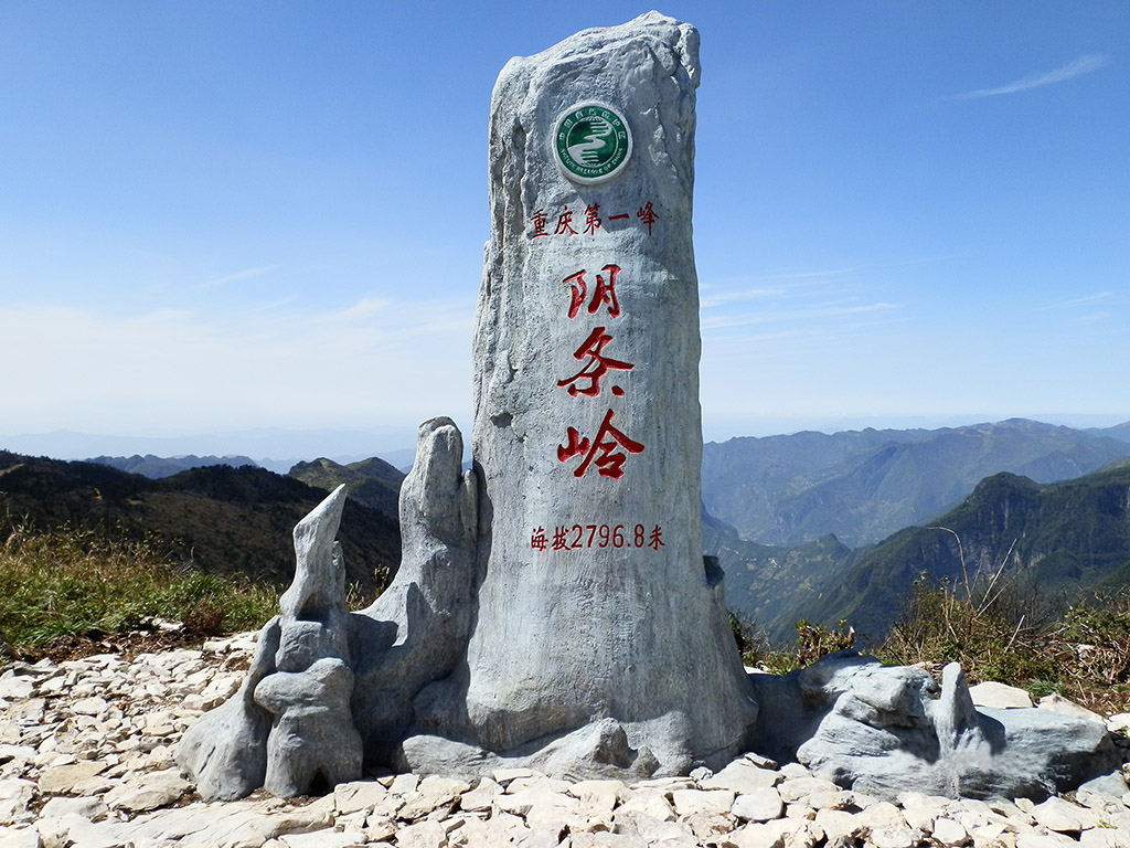 图片 14.png