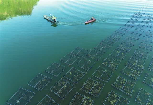 牢记殷殷嘱托 书写生态答卷4.jpg