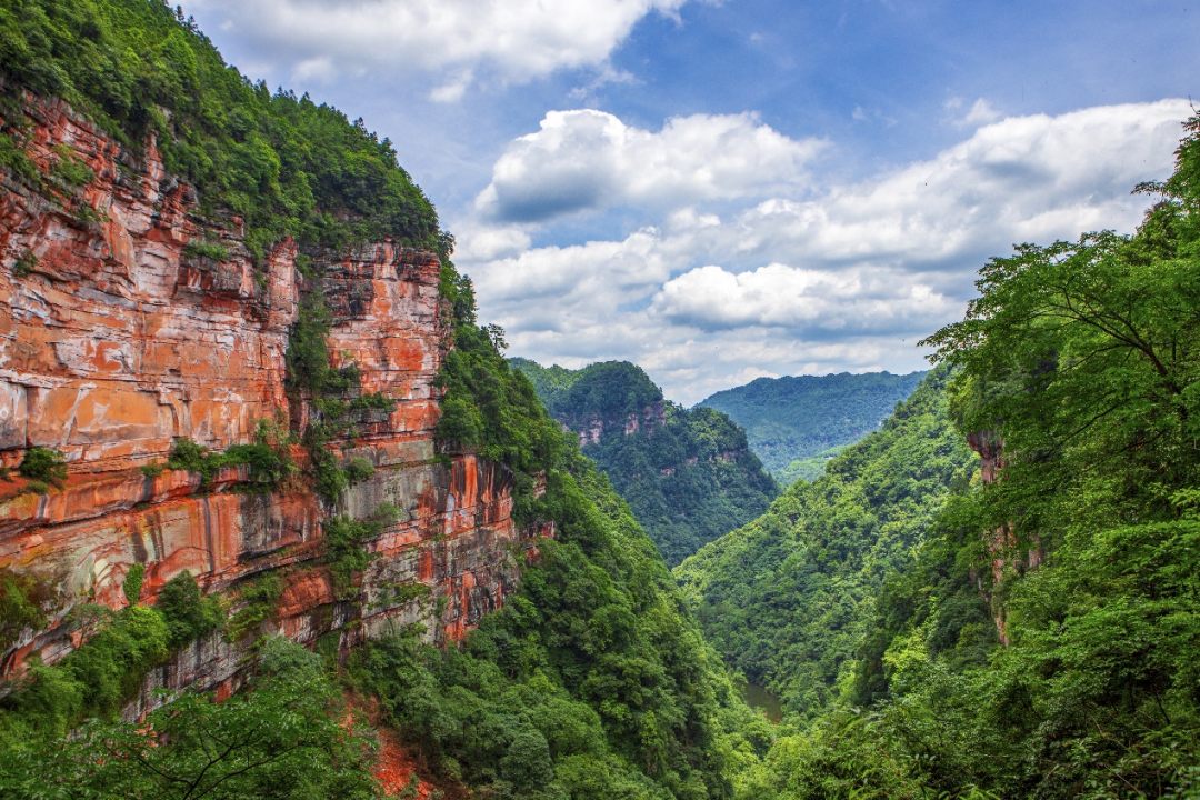 P_016.png