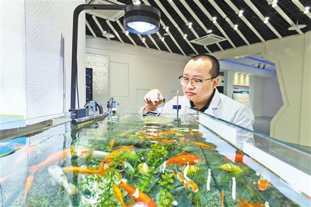 三峡实验室正式揭牌,四大重庆实验室集结完毕——5.jpg